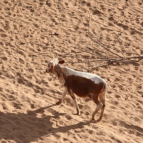 Millions of small-scale food producers on a collision course with climate&nbsp;change
