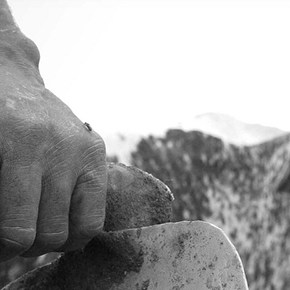 Mixed crop-and-livestock farmers can feed the growing&nbsp;world