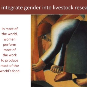Women and livestock: Why gender matters are BIG&nbsp;matters