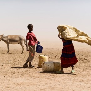 Africa’s first ‘Islamic-compliant’ livestock insurance pays 100 herders in Kenya’s remote drylands of Wajir for drought-related livestock&nbsp;losses