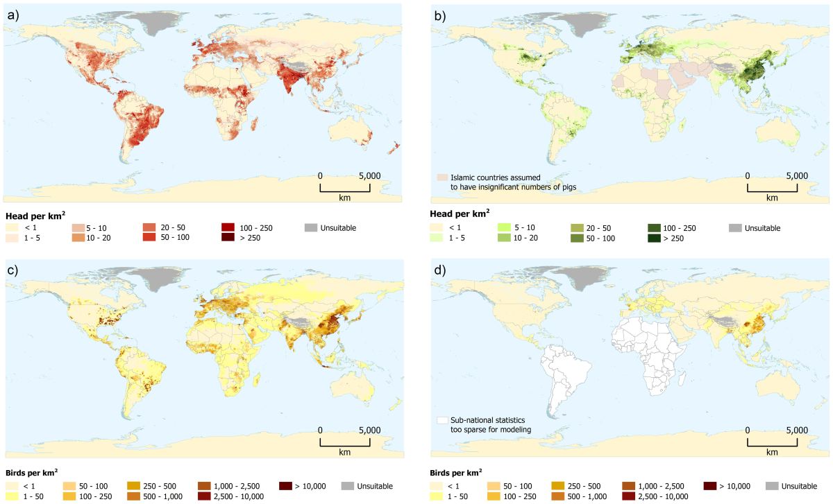 New maps for navigating a sea of changes in livestock production | ILRI ...