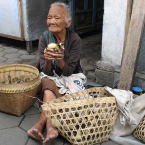 Deadly strain of bird flu in China linked to live poultry markets; high-risk spots in Asia mapped–New study