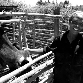 New mobile project to tackle malnutrition in Africa and&nbsp;Asia