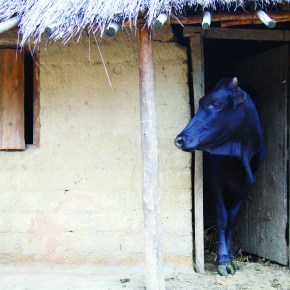 Lavish new pictorial book honours the world’s primary food producer–the family&nbsp;farmer