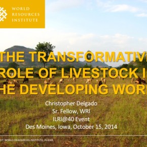 A major presentation on ‘the power of livestock’ to transform today’s resource-scarce agricultural&nbsp;lands
