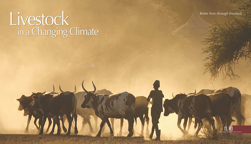 10P_LivestockInAChangingClimate_ForFANRPAN