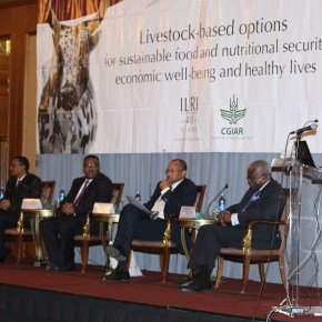 Life begins at 40: Of sweet spots–and the sweetest spot of all for the International Livestock Research&nbsp;Institute