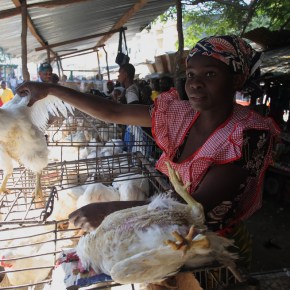 Despite contamination concerns, Africa must embrace ‘wet markets’ as key to food&nbsp;security