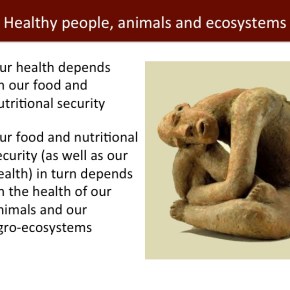 One-for-all and all-for-one: Breaking down the walls between the livestock, health and environmental&nbsp;sectors
