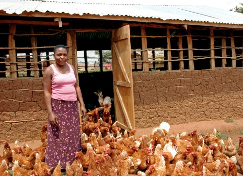 ChickensAndFarmerInUganda