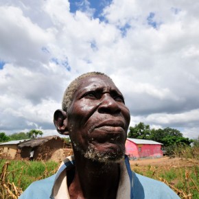 New paper explodes a ‘breadbasket’ myth: African food production for African people,&nbsp;please