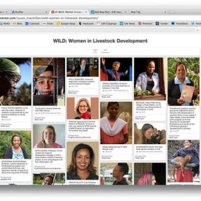 Take a look at some of ILRI’s WILD women (aka ‘Women in Livestock Development’)