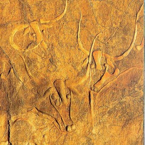 Climate change impacts on livestock: ‘This information does not&nbsp;exist’