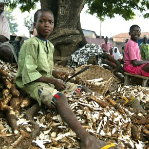 All flesh is grass (except in Nigeria, where it might be cassava&nbsp;peel)