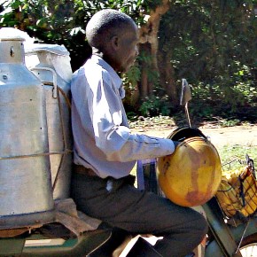 Towards professionalizing—not criminalizing—informal sellers of milk and meat in poor&nbsp;countries