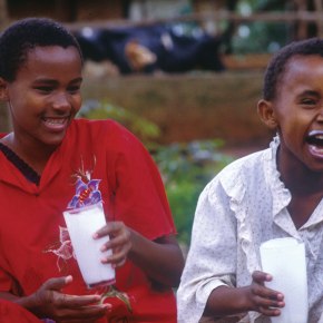 Unlocking the potential of Africa to scale livestock development, high-level&nbsp;conference