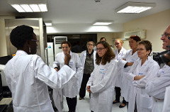 High-level German delegation visits ILRI for updates on CGIAR livestock and sweet potato&nbsp;research