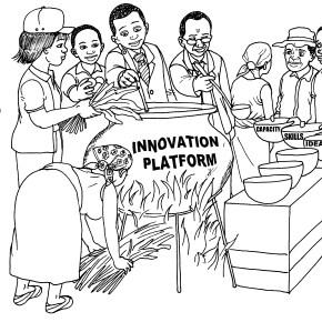 Capacity development, and innovation systems and&nbsp;platforms