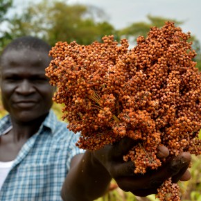 New Kenya value chains program to lift 300,000 plus households out of&nbsp;poverty