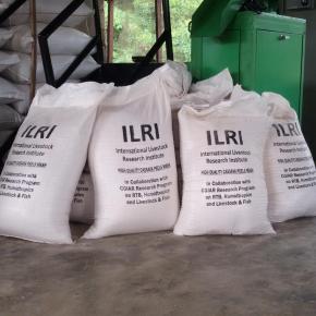 African Development Bank-supported livestock team and Nigerian agricultural lending agency to scale up proven animal production&nbsp;technologies