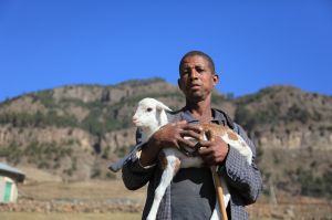 Africa RISING Innovation platform establishment meeting at kebele and woreda level in Tigray Region February 2014 (photo credit : ILRI/Apollo Habtamu)