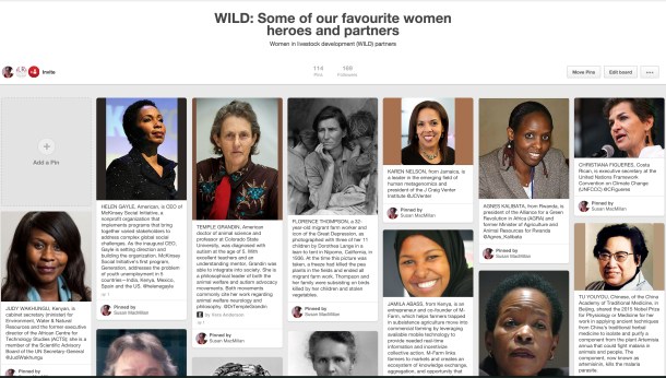 16Screenshot_WILD_01