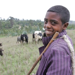 Florida and ILRI start consultations on new ‘Feed the Future Innovation Lab for Livestock&nbsp;Systems’