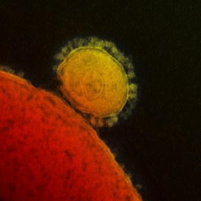 MERS-CoV antibodies found in two people in eastern&nbsp;Kenya
