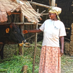 CGIAR Rwanda Climate Services for Agriculture project launches today,&nbsp;#WorldMetDay
