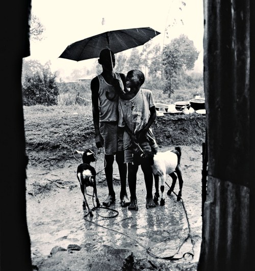 BoysAndGoatsInTheRainInKenya_Cropped