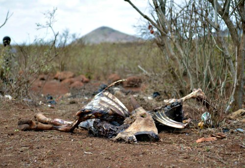 Drought_Carcas_Palmer_Cropped