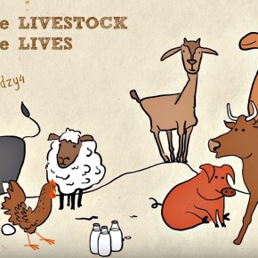 Sustainable livestock, sustainable lives: Livestock’s role in global health, equity and&nbsp;environment