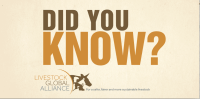 16lGA_DidYouKnow