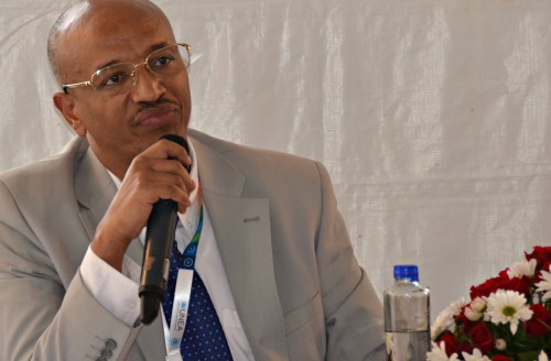 EthiopianMinisterOfEnvironmentAtUNEA-2_Cropped