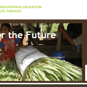 Elite cultivars of the livestock feeding kind–‘FORAGES for the&nbsp;FUTURE’