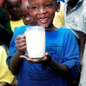 Improving food safety and human health through agricultural research: CGIAR future&nbsp;plans