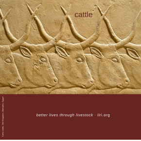 UN endorses recommendations on sustainable agricultural development for food security and nutrition, including the role of&nbsp;livestock