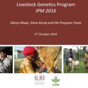 A first look at ILRI’s new research programs: Livestock&nbsp;Genetics
