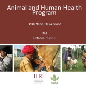 A first look at ILRI’s new research programs: Animal and Human&nbsp;Health