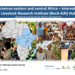 An updated look at ILRI research programs: The Biosciences eastern and central Africa-ILRI&nbsp;Hub