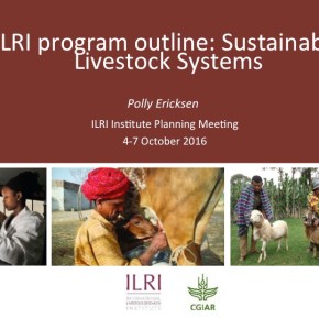 A first look at ILRI’s new research programs: Sustainable Livestock&nbsp;Systems