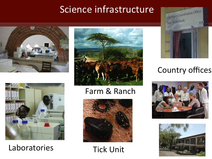 A first look at ILRI’s new research programs: Animal and Human Health ...