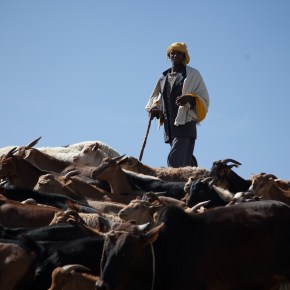 ‘Meating’ in the middle on the ‘meat vs vegetarian’ diet debate at the climate change summit this&nbsp;week