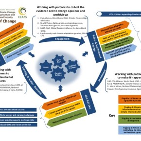 A ‘theory of change’ for agricultural research for&nbsp;development