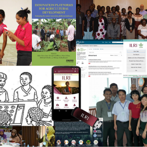 The story of Humidtropics agricultural innovation capacity development,&nbsp;2014-2016