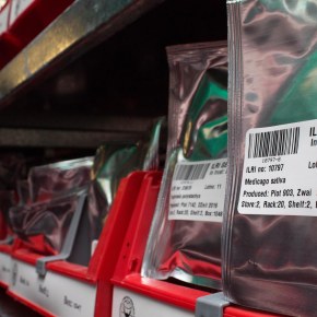 Creating a science hub in&nbsp;Ethiopia