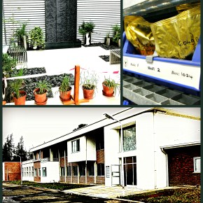 ILRI opens state-of-the-art genebank and bioscience facilities in&nbsp;Ethiopia