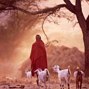 Six new papers on the ancient, complex and everlasting farm animal–zoonotic disease–human well-being&nbsp;nexus