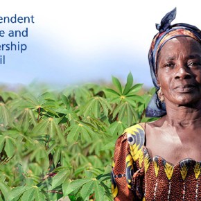 On what (and how and when) to measure when measuring impacts of agricultural research for&nbsp;development