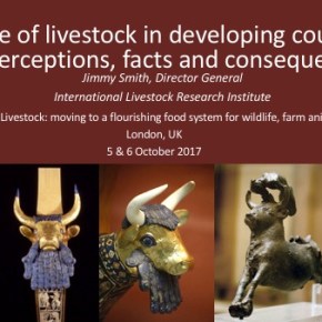 Livestock in developing countries—Misperceptions, facts and&nbsp;consequences